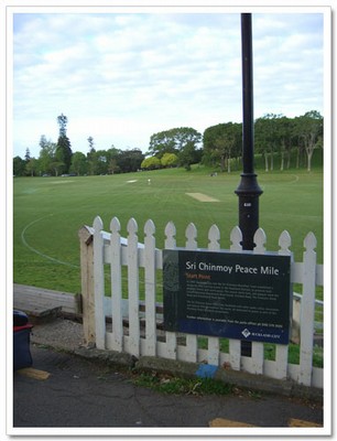 View of the Auckland Domain